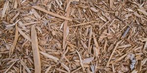 Marktplatz Energie > Klimaschutz & Emission - Biomasse in ETS 1, ETS 2 und nEHS – Unterschiede bei Anrechenbarkeit, Nachweisführung und Berichterstattung